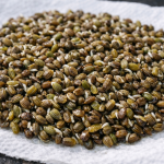 Tajna metoda sadnje kopra za guste šikare bez kišobrana tajna-metoda-sadnje-kopra-za-guste-sikare-bez-kisobrana.png