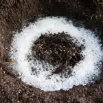 Tajna metoda za borbu protiv žičnjaka u proljeće pomoću sode i octa tajna-metoda-za-borbu-protiv-zicnjaka-u-proljece-pomocu-sode.png