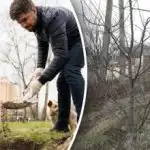 Tajne iskusnih vrtlara: što morate učiniti u proljeće za plodno